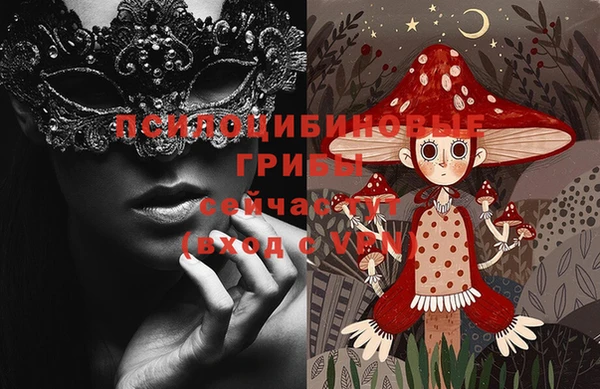 МДПВ Алексеевка