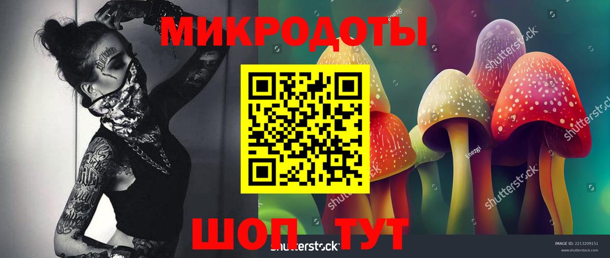 Петрозаводск  Псилоцибиновые грибы Psilocybine cubensis  Вход с VPN 